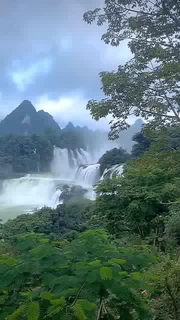 侍忍者